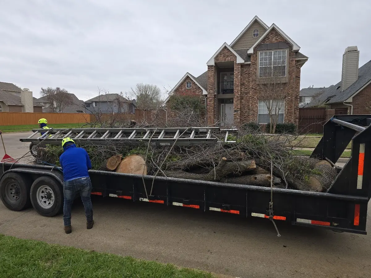 Expert Tree Pest Control with proper safety equipment in Stewart